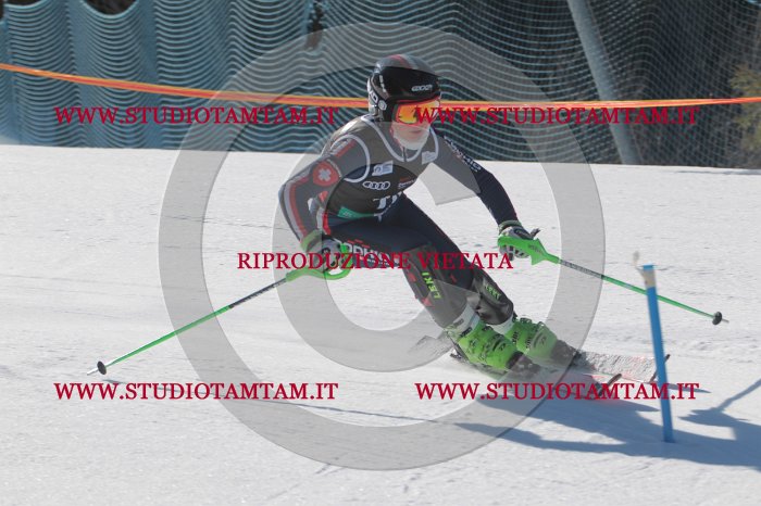 MAT_9550.JPG