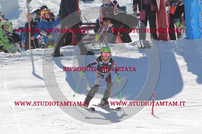 MAT_9555.JPG