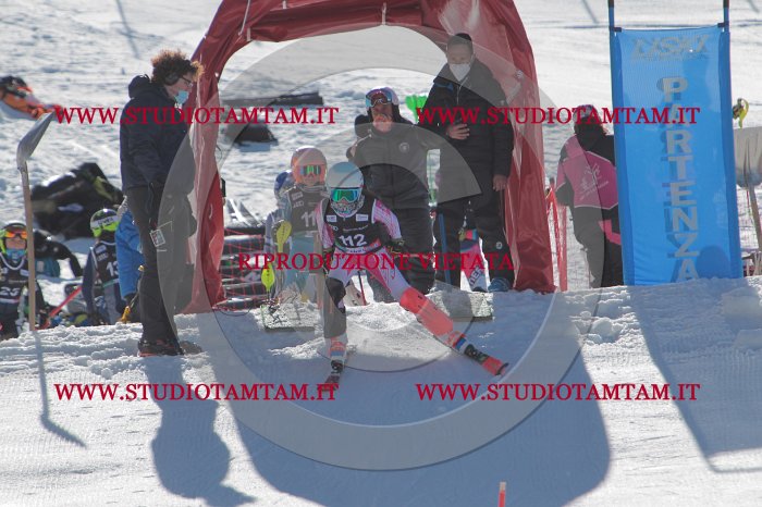 MAT_9567.JPG