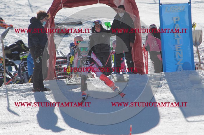 MAT_9568.JPG
