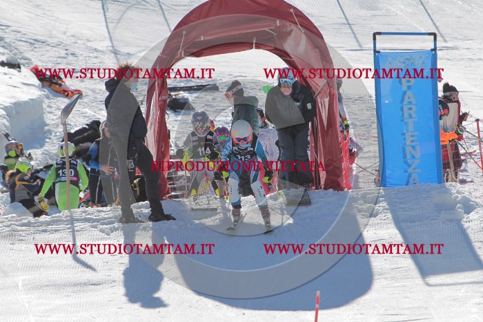 MAT_9582.JPG