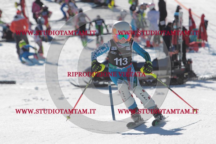 MAT_9590.JPG