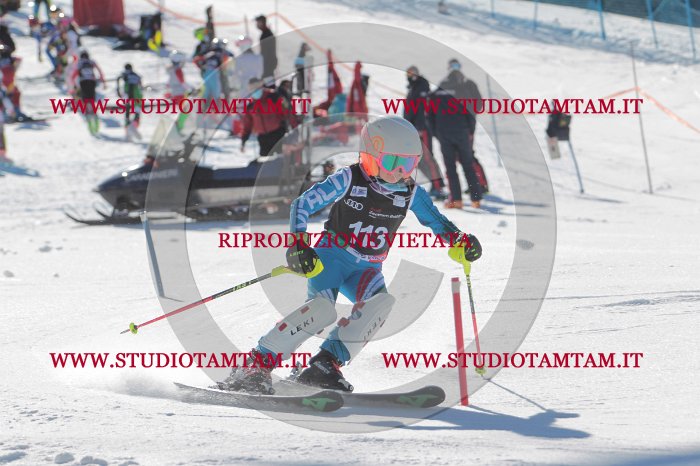 MAT_9591.JPG