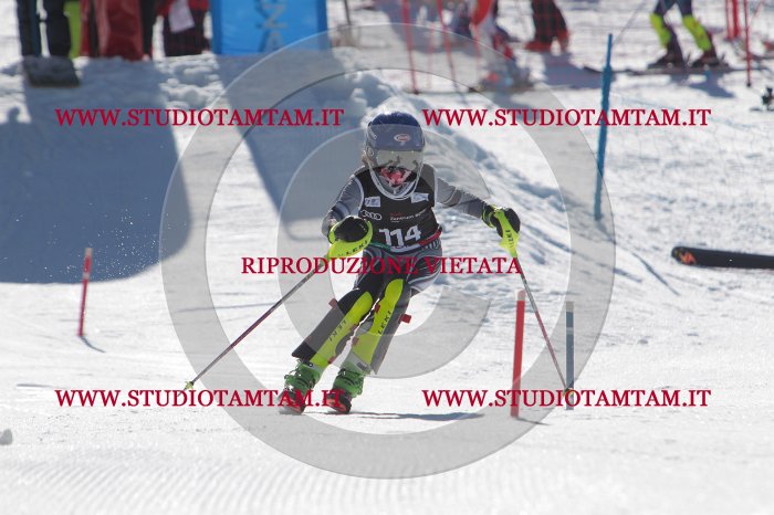 MAT_9597.JPG