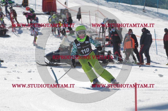 MAT_9654.JPG