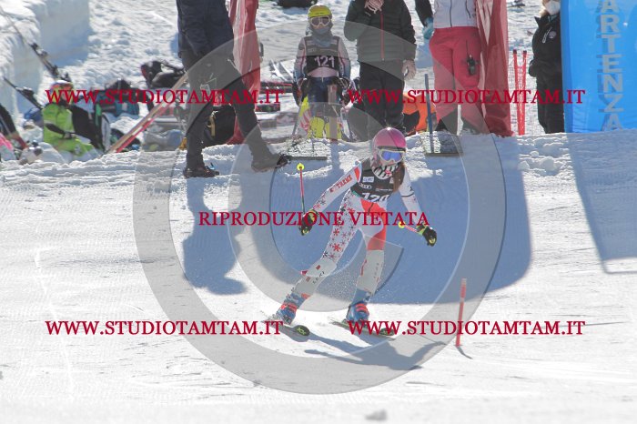 MAT_9669.JPG
