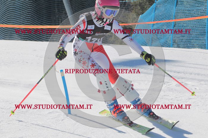 MAT_9681.JPG