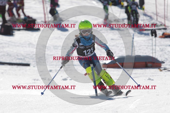 MAT_9690.JPG