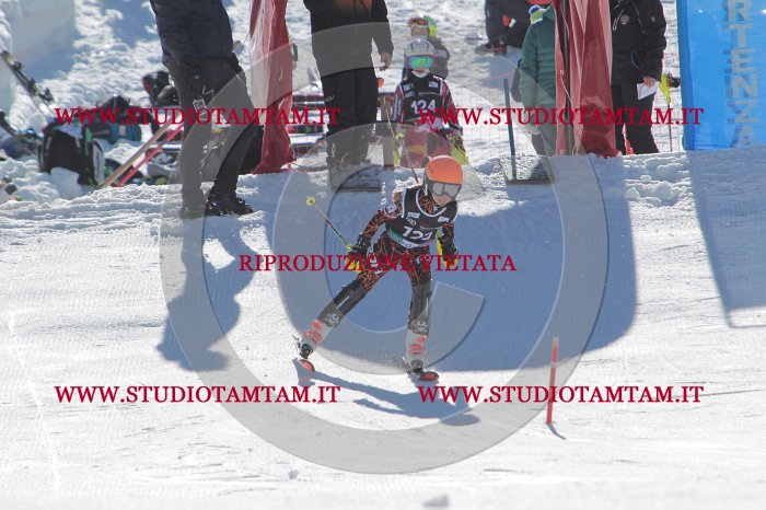 MAT_9712.JPG