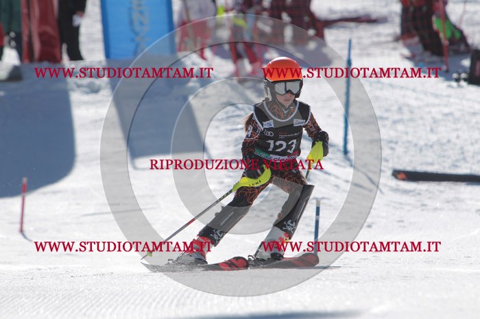 MAT_9716.JPG