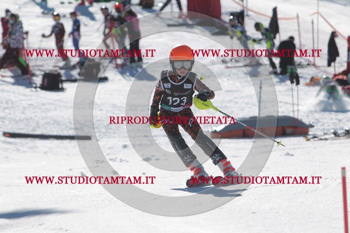 MAT_9719.JPG