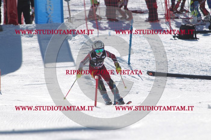 MAT_9730.JPG