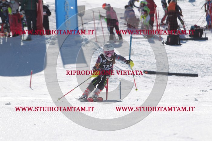 MAT_9743.JPG