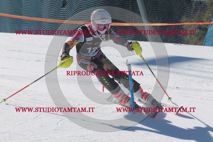 MAT_9749.JPG