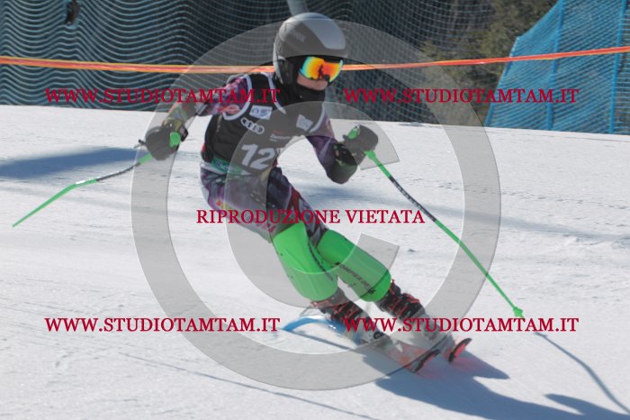 MAT_9774.JPG