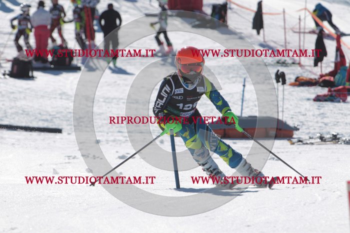 MAT_9785.JPG