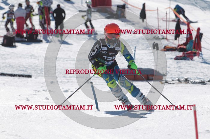 MAT_9786.JPG