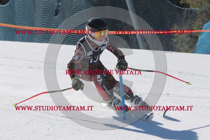 MAT_9818.JPG