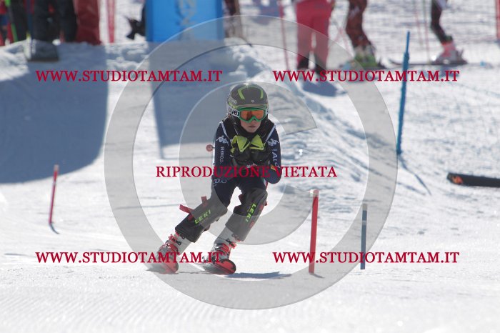 MAT_9827.JPG