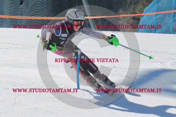 MAT_9861.JPG