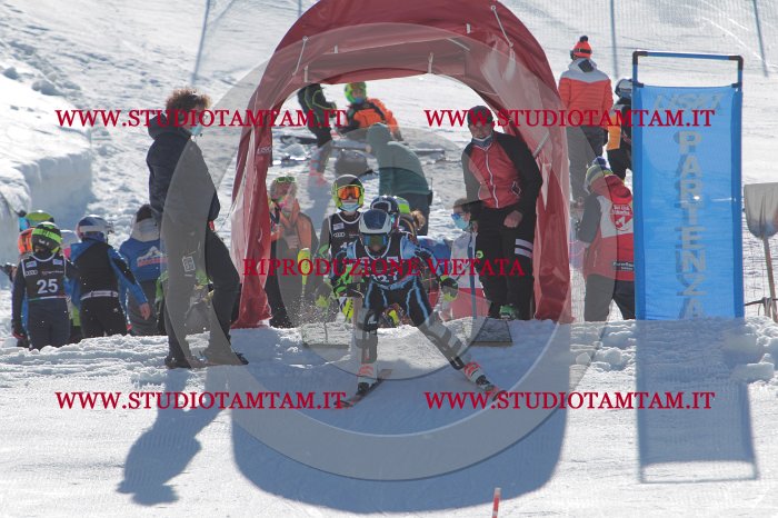 MAT_9889.JPG