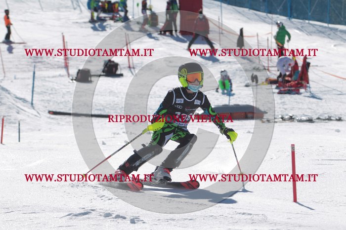 MAT_9914.JPG