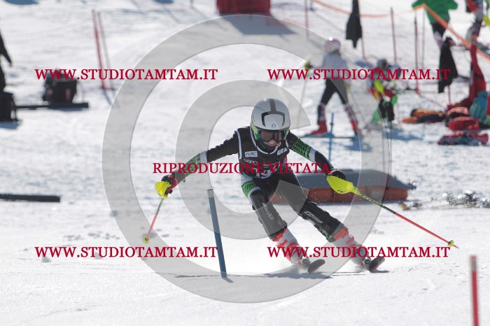 MAT_9942.JPG