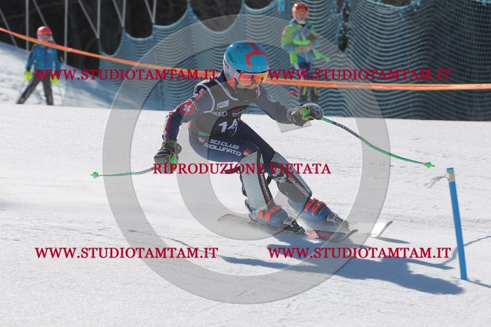 MAT_9962.JPG