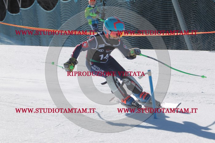 MAT_9963.JPG