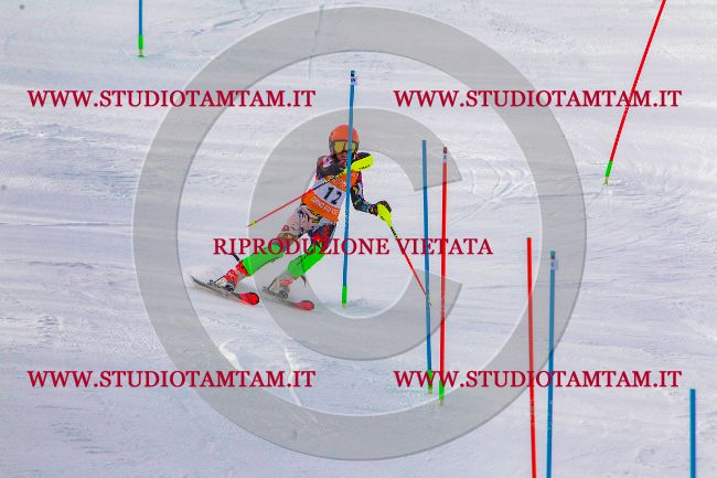 MAT_6386.jpg