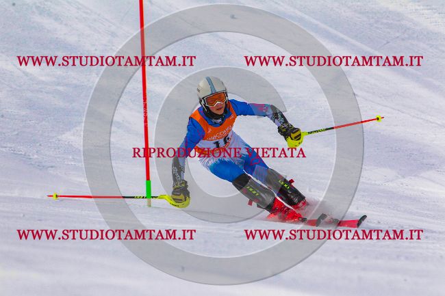 MAT_6452.jpg