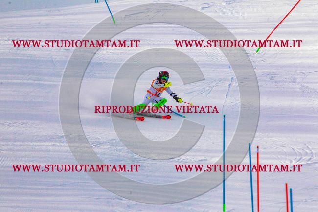 MAT_6458.jpg