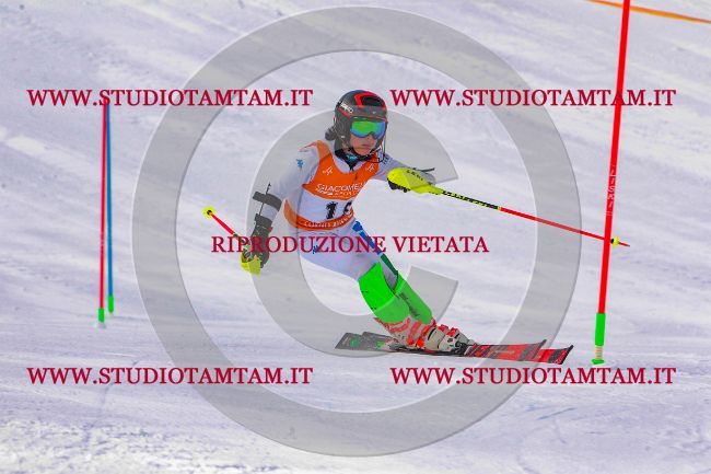 MAT_6469.jpg