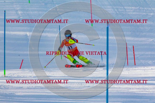 MAT_6594.jpg