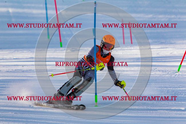 MAT_6617.jpg