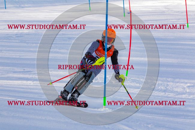 MAT_6621.jpg