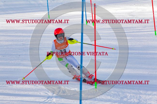 MAT_6635.jpg