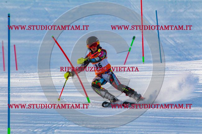 MAT_6683.jpg