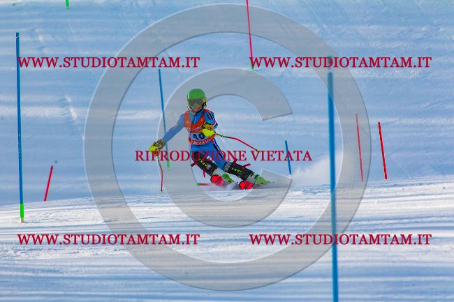 MAT_6706.jpg