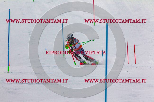 MAT_6785.jpg