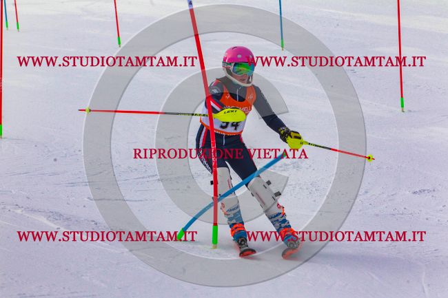 MAT_6884.jpg