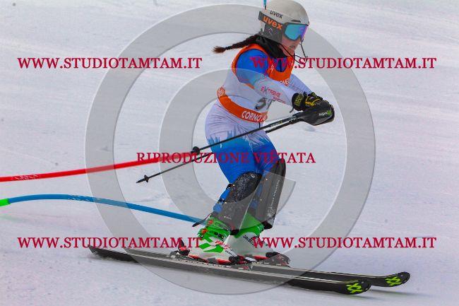 MAT_6903.jpg