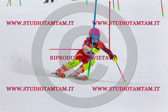 MAT_6934.jpg