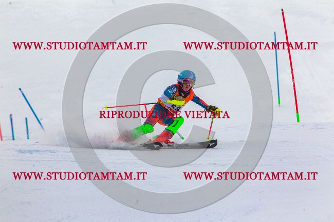 MAT_6941.jpg