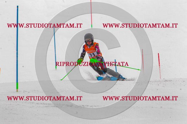 MAT_7046.jpg