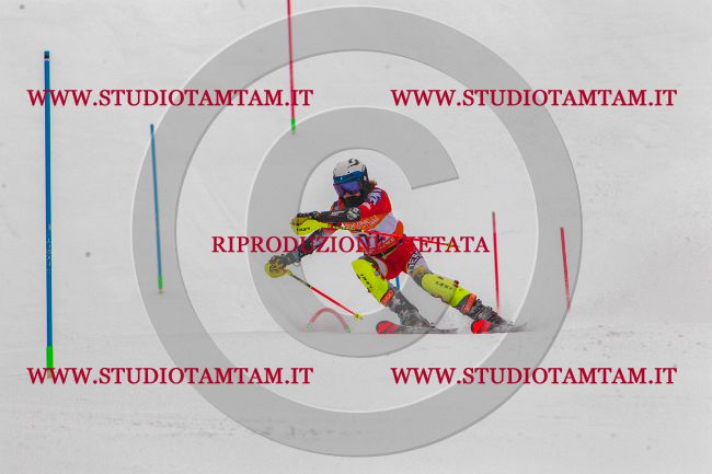 MAT_7060.jpg
