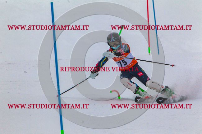 MAT_7107.jpg