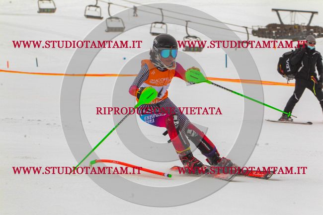 MAT_7280.jpg