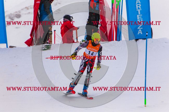 MAT_7527.jpg