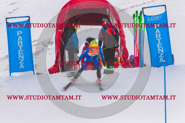 MAT_7889.jpg